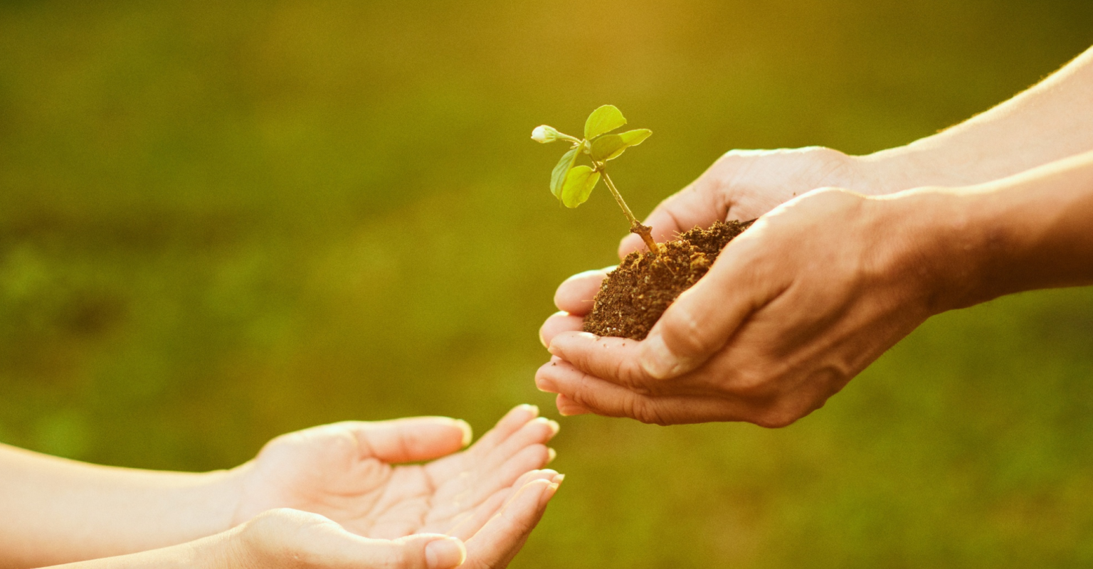 Holding Hope