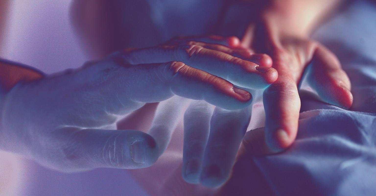 Exploring End of Life