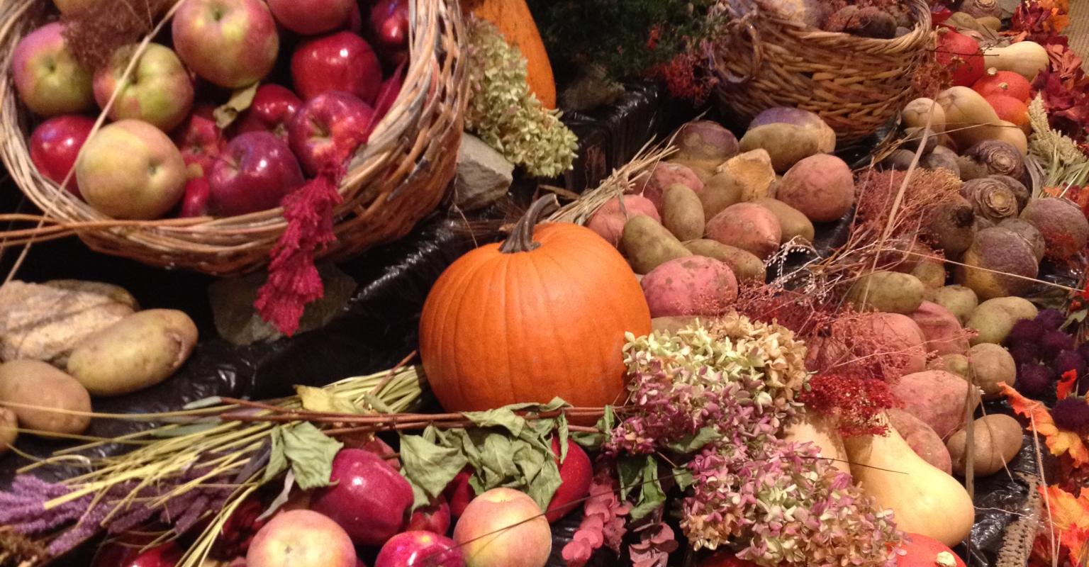 Pile of pumpkins, apples, gourds, sweet potatoes, chrysanthemums 