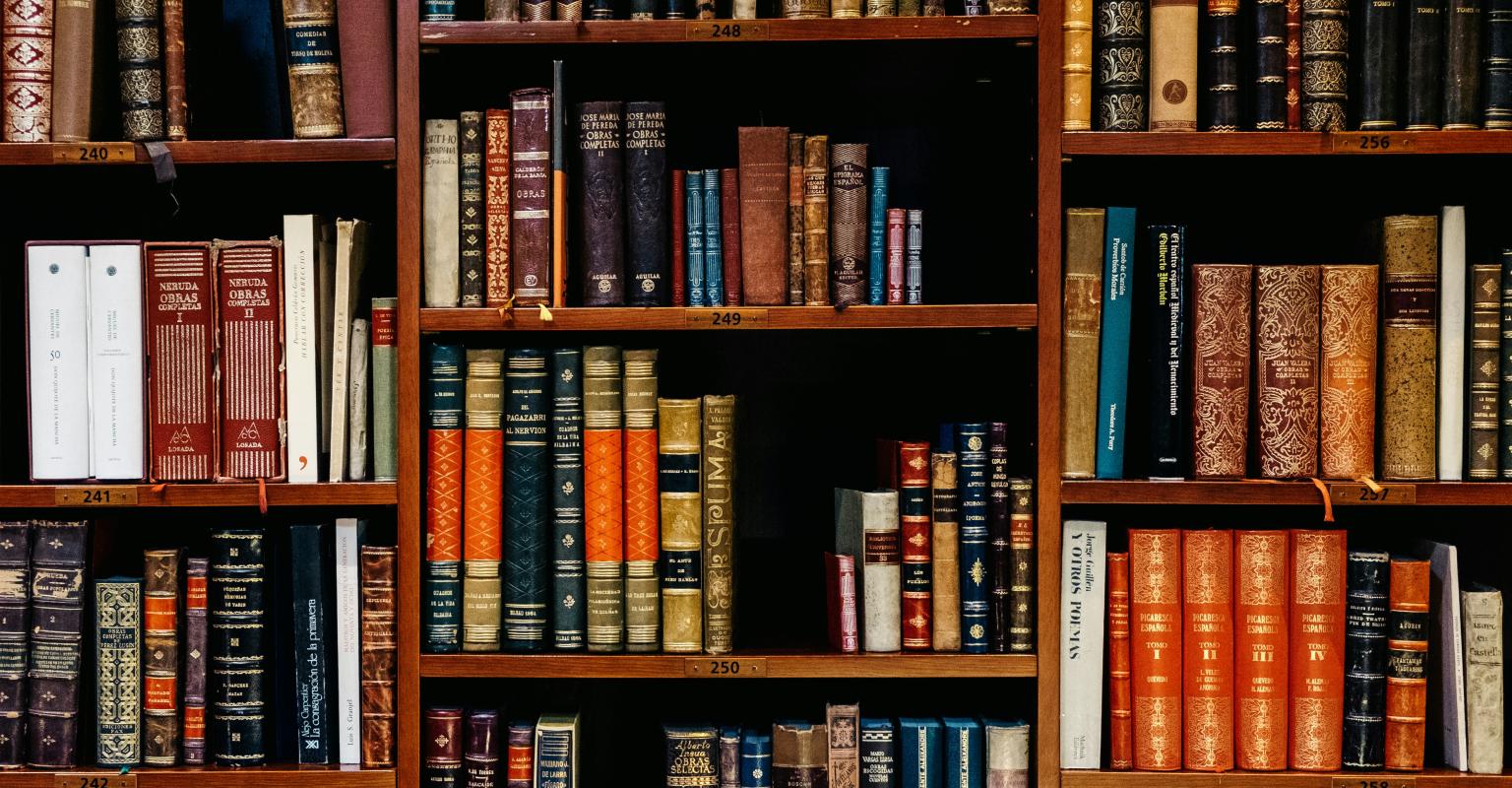 books on a bookshelf