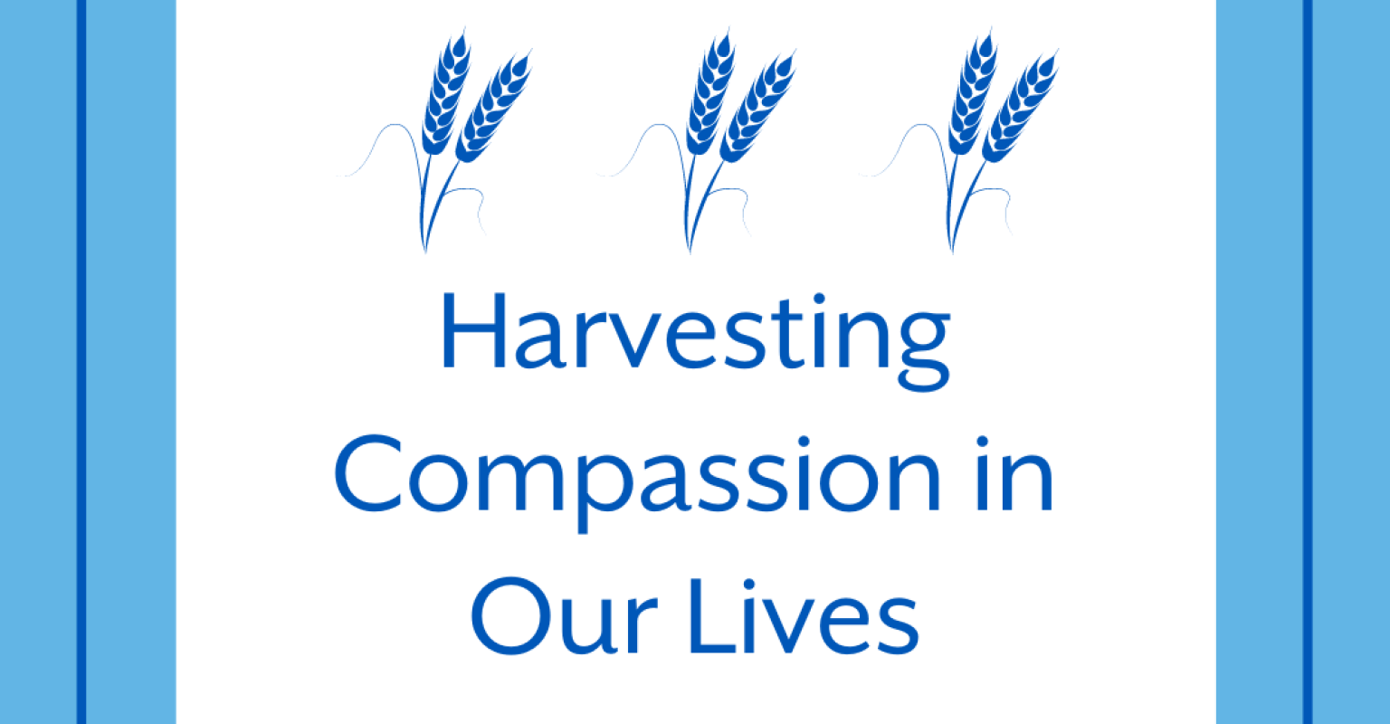 harvesting compassion in our lives