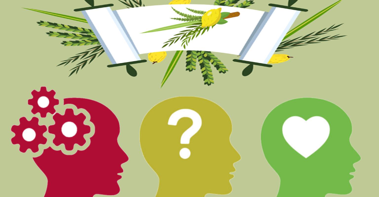 MULTIPLE WAYS TO BE JOYFUL