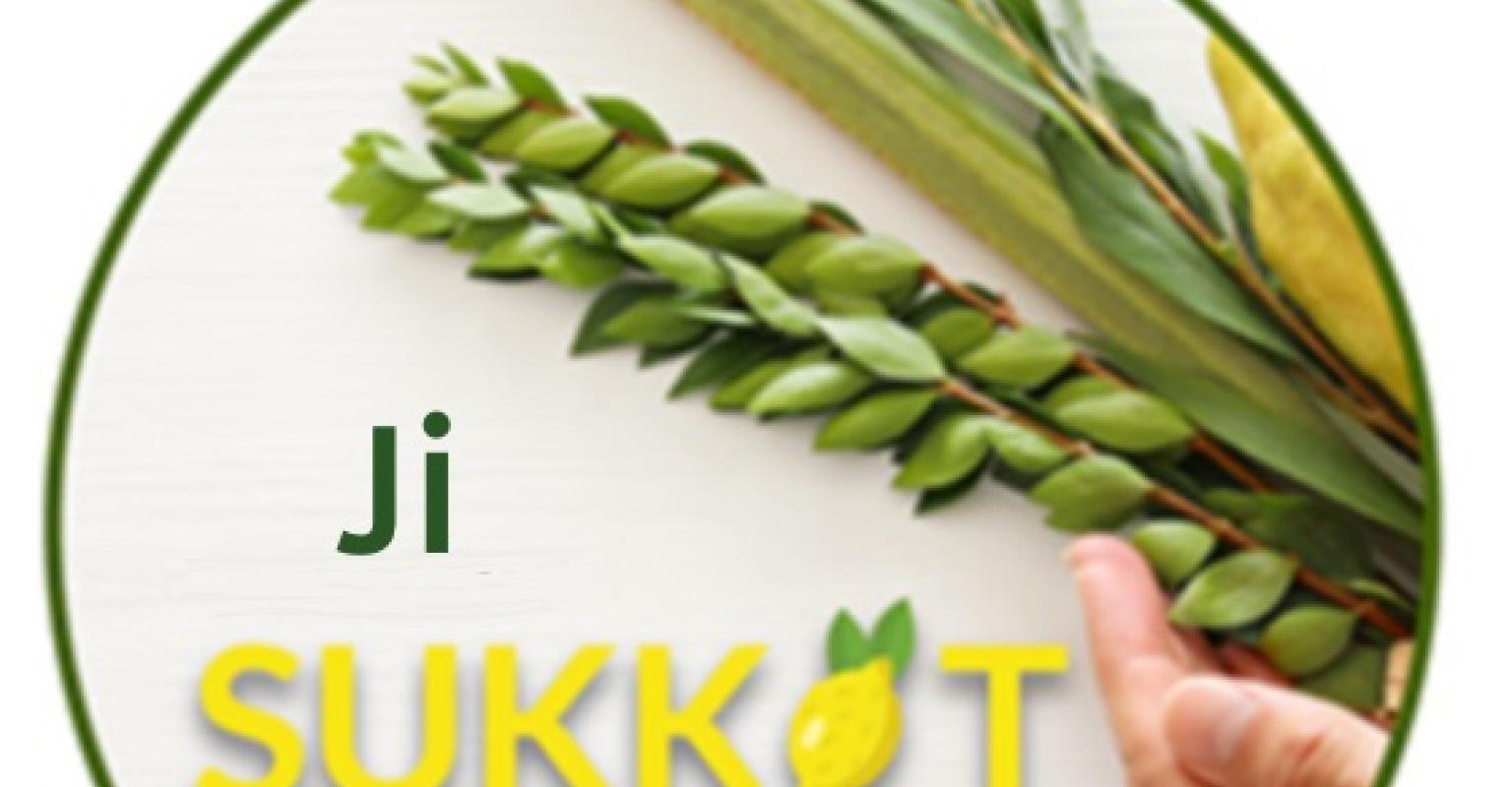 Ji Sukkot Educator Resources E-Book