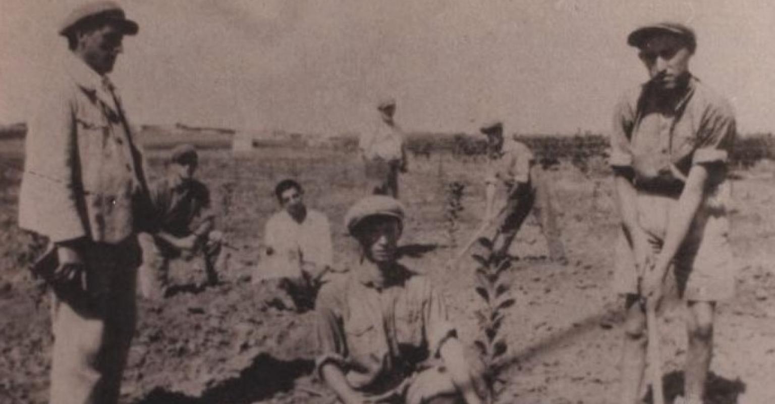 Israel's First Tu B'Shevat Tree Planting