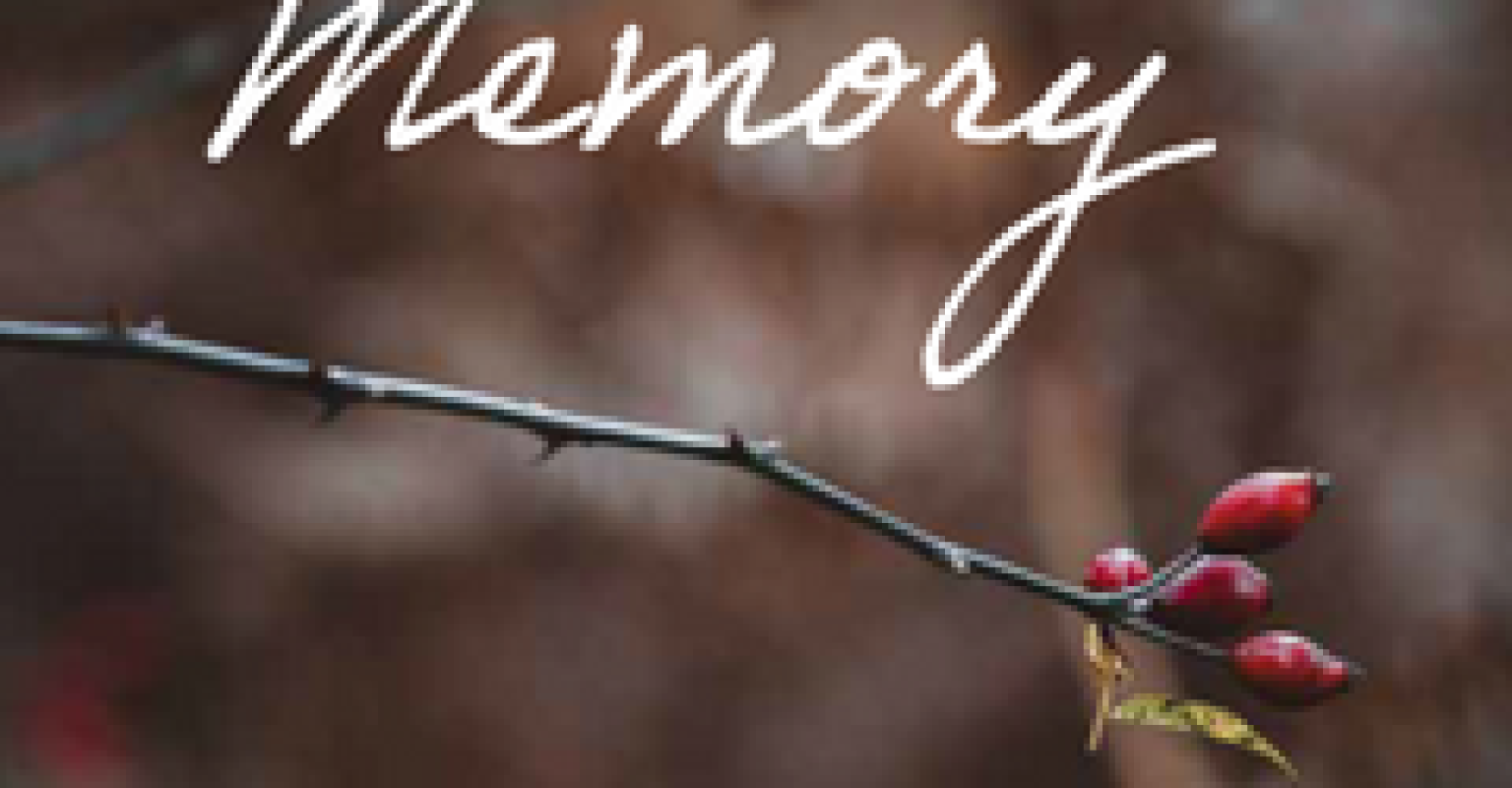 Creating Memory - Free Booklet for arts-based Holocaust education