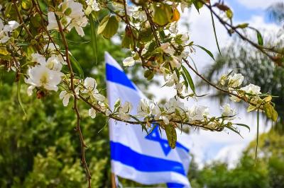 What exactly is a kibbutz