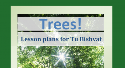 Trees! lesson plan preview