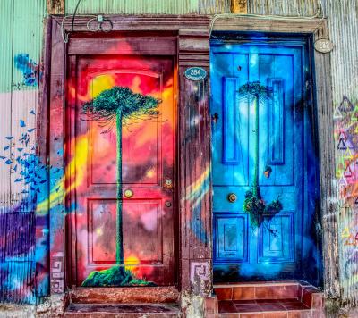 Photo by Luis Alfonso Orellana (Unsplash)