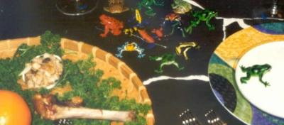 4 Cups, 10 Plagues, Multiple Intelligences preview
