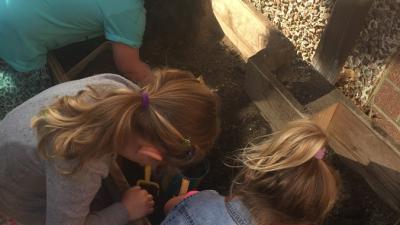 NorthShore children gardening