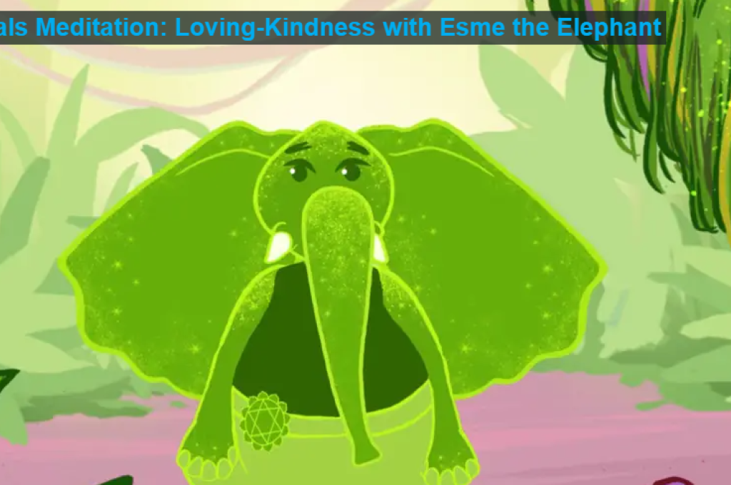 Prisma Pal Meditations Video