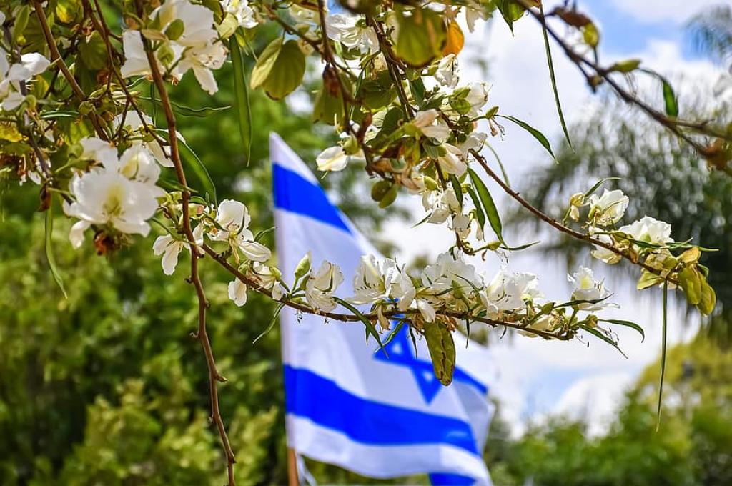 What exactly is a kibbutz