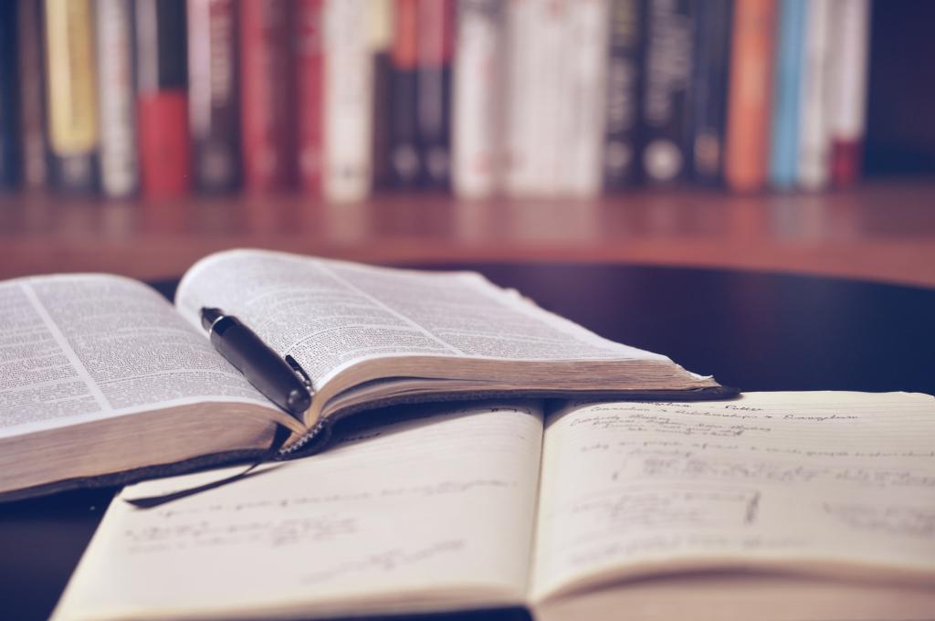 Mean Girls Text Study Image