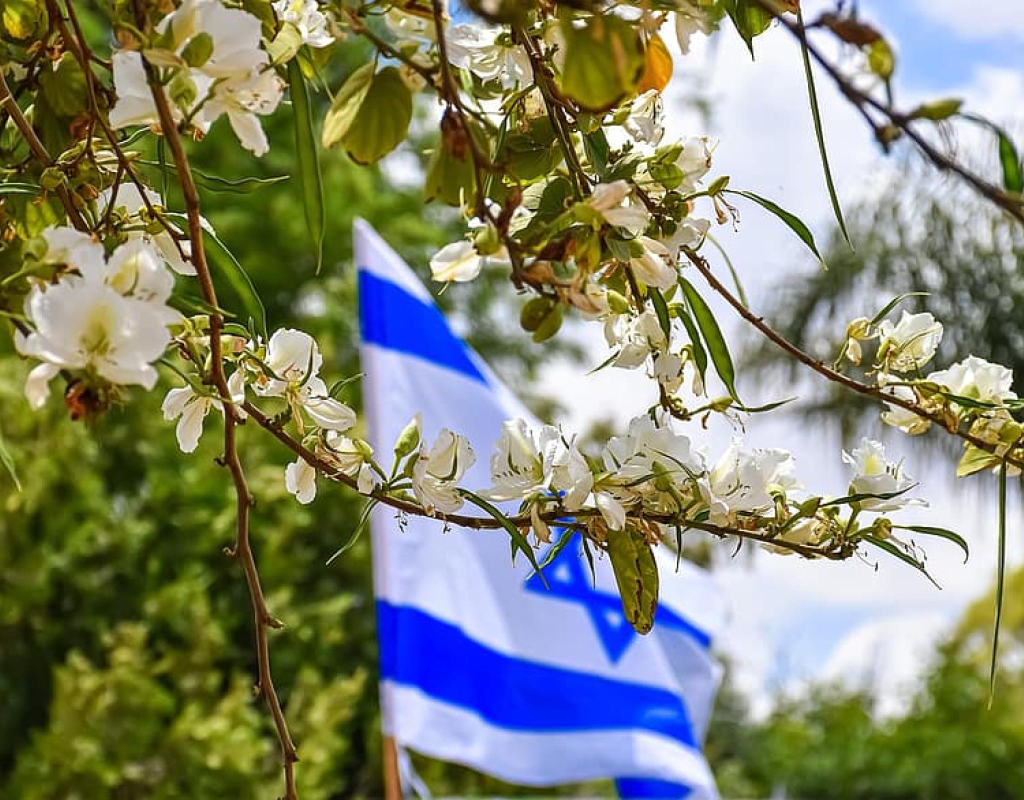 What exactly is a kibbutz