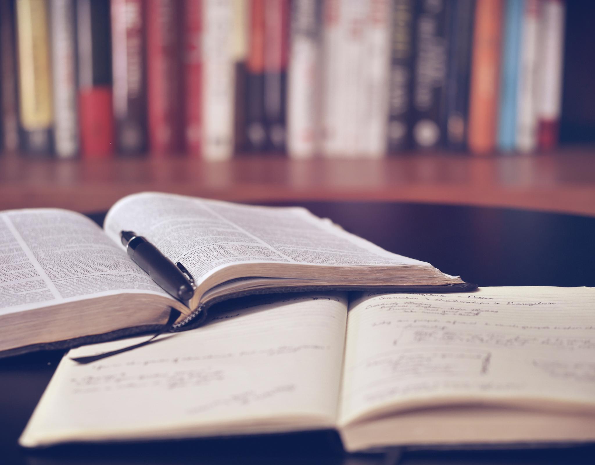 Mean Girls Text Study Image