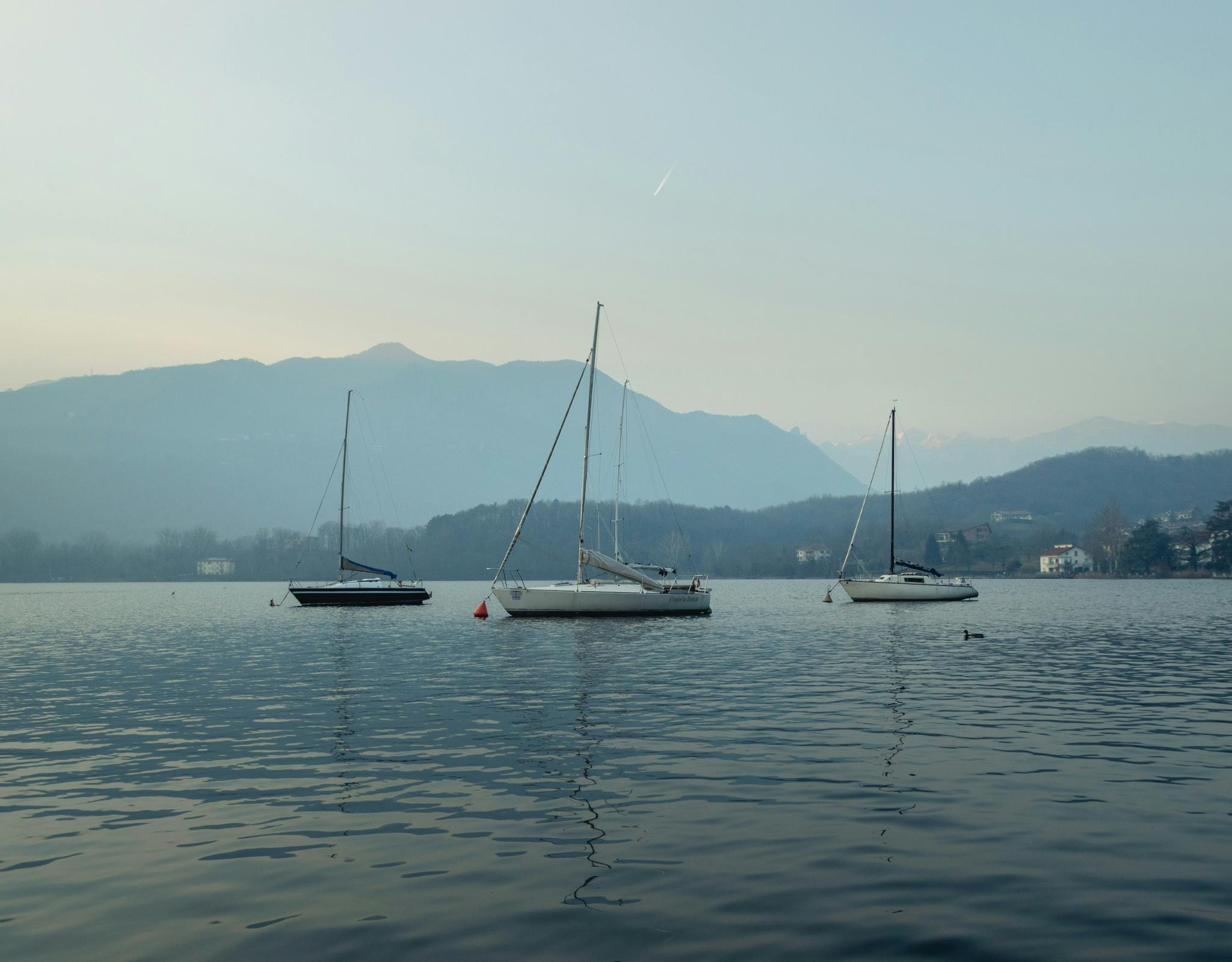 sailboats on water