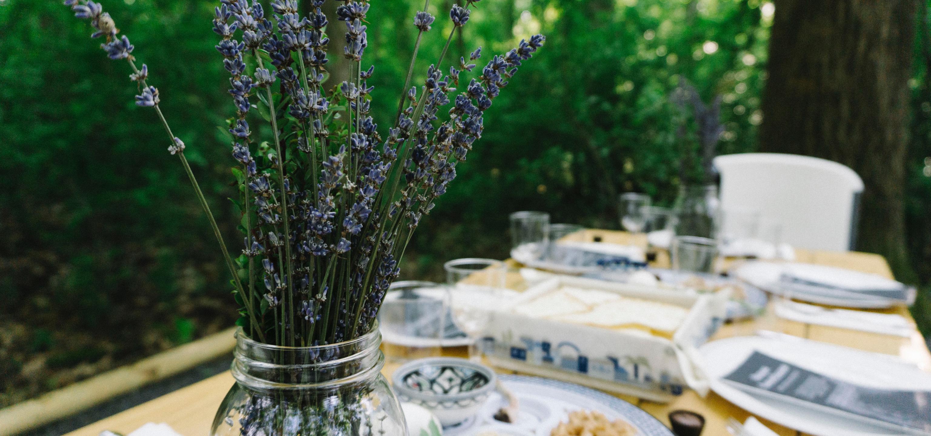 Pesach image