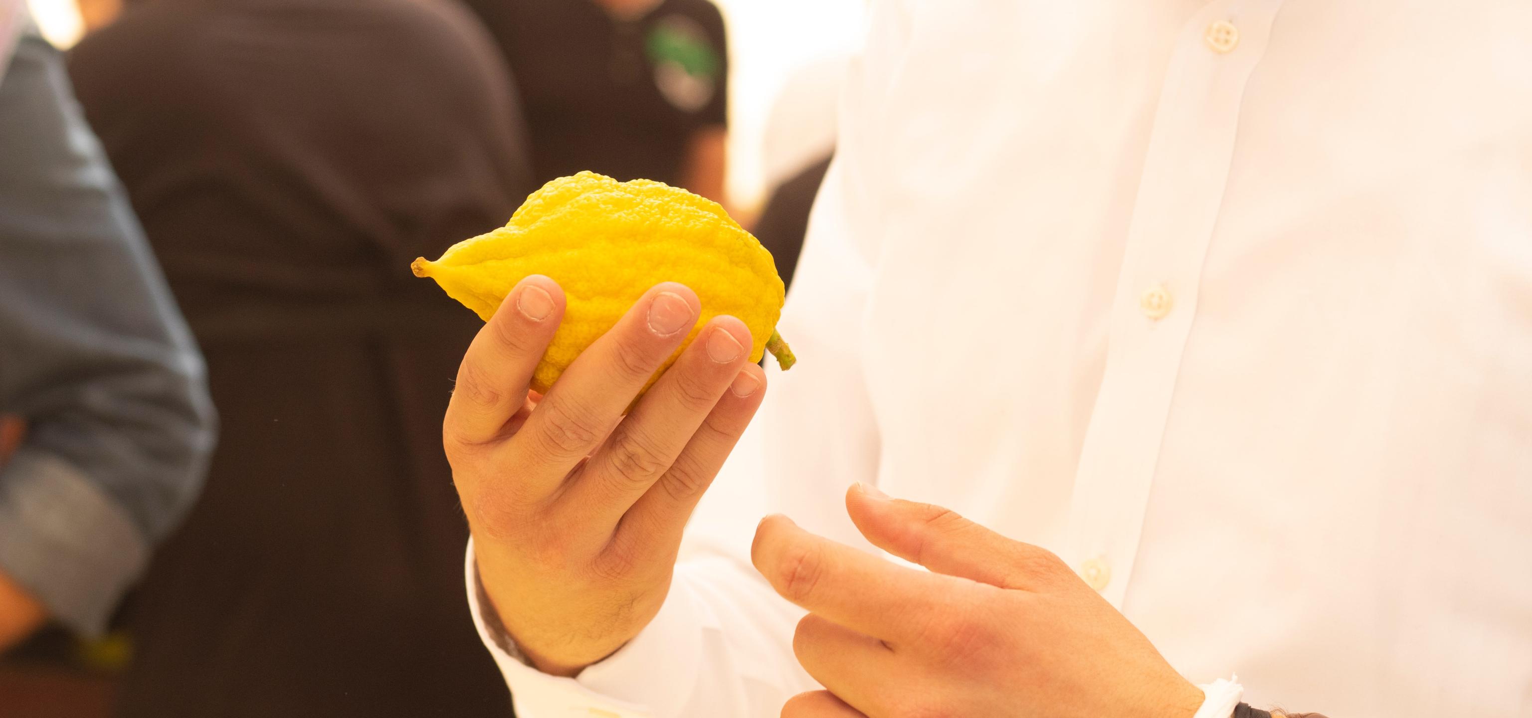 Man holding etrog