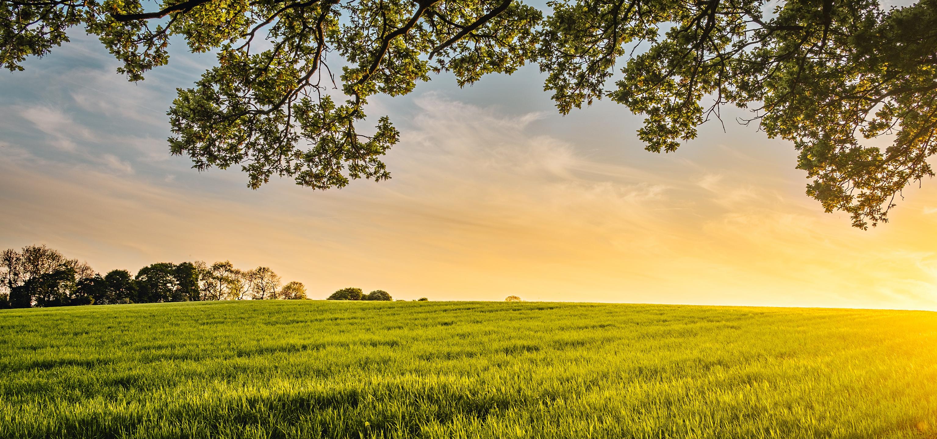 Farm Land