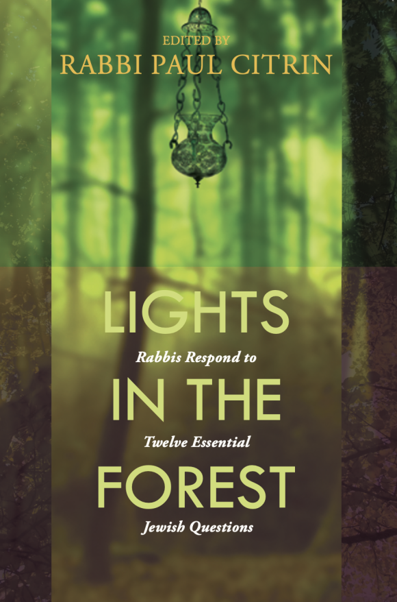 The cover of "Lights in the Forest" contains forest imagery with a lantern hanging from above.