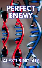 The front cover of Perfect Enemy by Alex J Sinclair