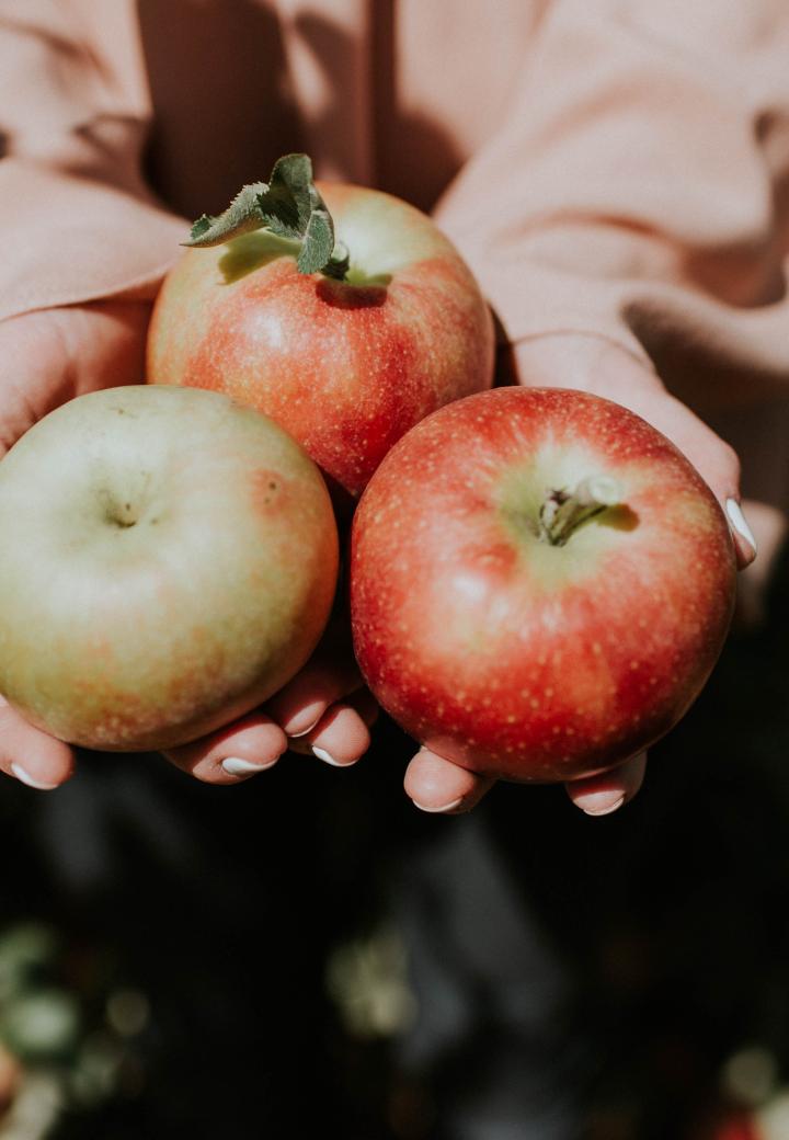 apples