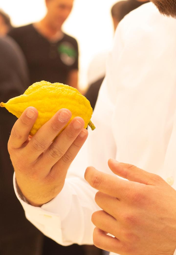 Person holding Etrog
